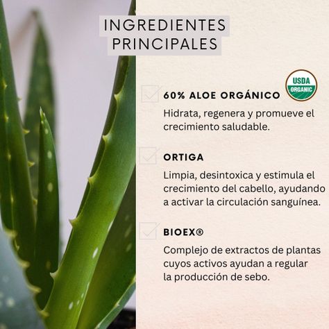 Shampoo Control Caida Graso + Acondicionador Caida 350ml-3