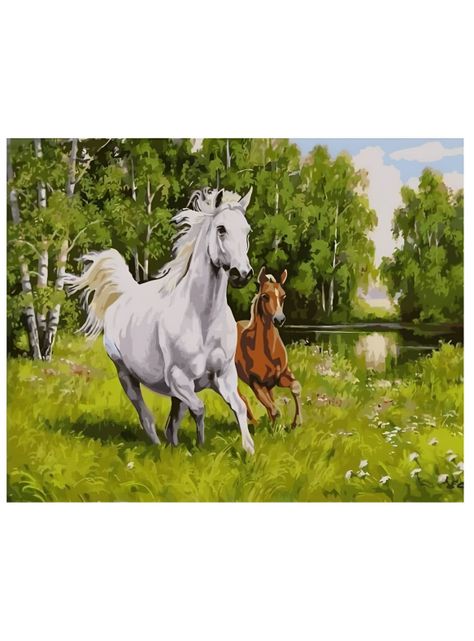 Pintura por Números - Hermoso Paisaje Equino-0