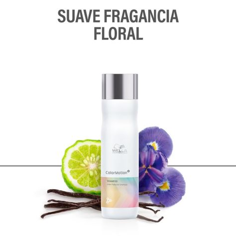 Shampoo Color Motion Wella 250 Ml Proteccion Color Fortalece-1