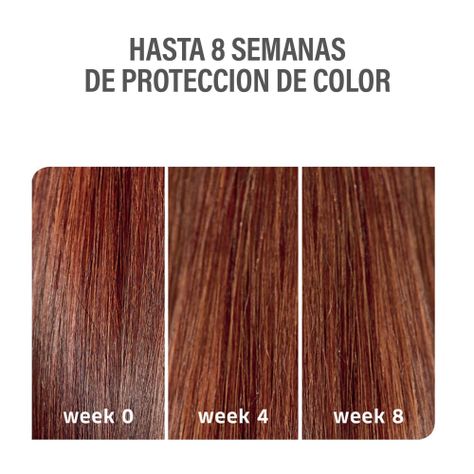 Shampoo Color Motion Wella 250 Ml Proteccion Color Fortalece-3