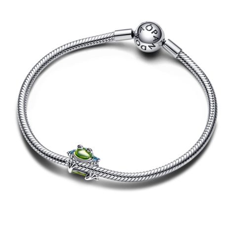 Gift Set Pulsera con Charm Rana Trepadora-0