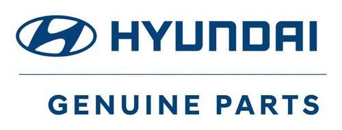Par Amortiguadores Traseros Hyundai Santa Fe 2.4 2018-2020-3