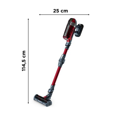 Aspiradora Vertical Inalámbrica Xforce 11.6 Animal -6