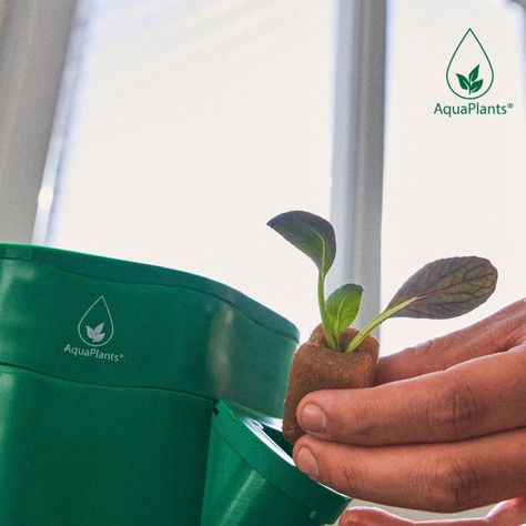 Kit Torre AquaPlants® Estándar -4