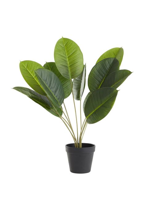 Planta artificial calatea 50cms-0