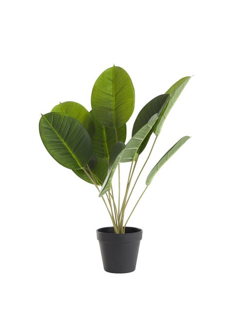 Planta artificial calatea 50cms-1