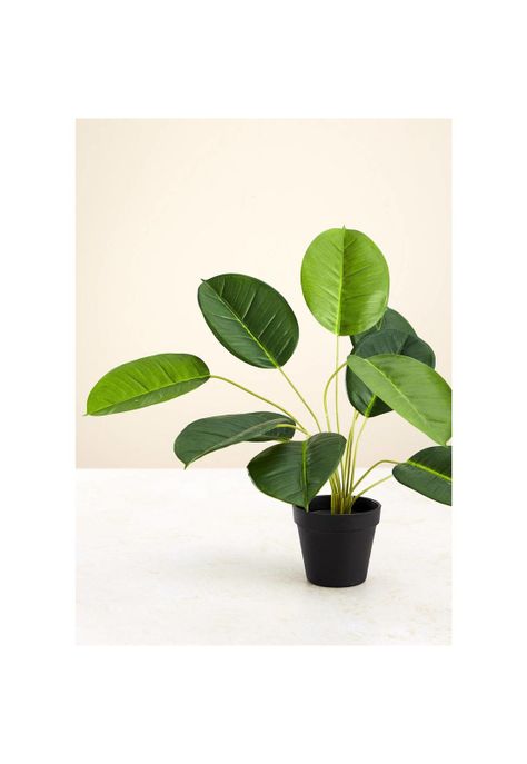Planta artificial calatea 50cms-2