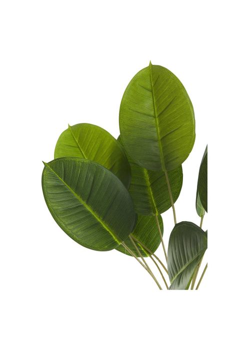 Planta artificial calatea 50cms-3