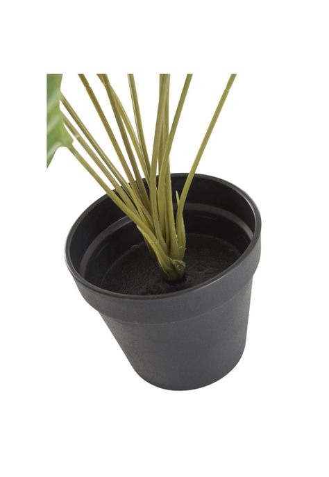 Planta artificial calatea 50cms-4