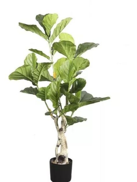 Planta Artificial Grande 170cm Decoracion Hogar-1