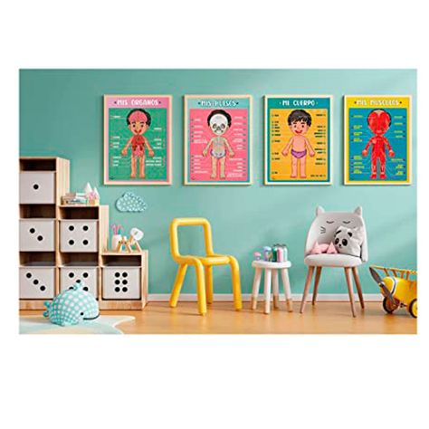Láminas Magnéticas Interactivas Huesos y Músculos-3