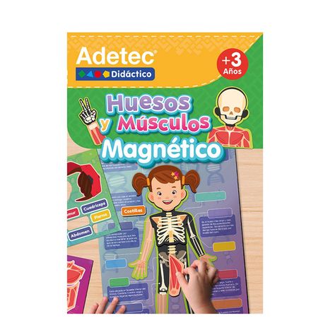 Láminas Magnéticas Interactivas Huesos y Músculos-0