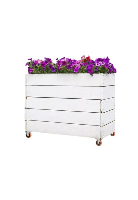 Set X4 Ruedas de 5 Pulgada Giratoria Para Muebles Con Frenos-2