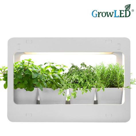 Huerto interior con luz LED Minigarden-2