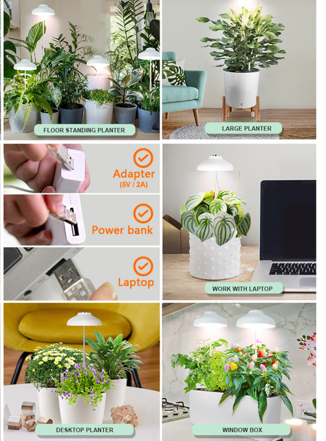Dos Luces LED de cultivo indoor GROWLED-6