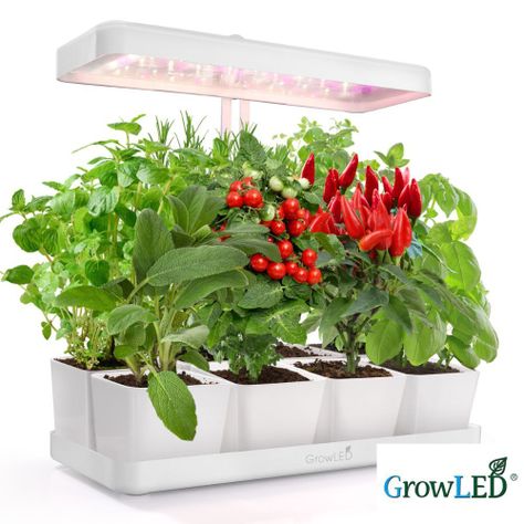 Huerto con luz LED de cultivo indoor Natura-0