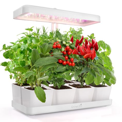 Huerto con luz LED de cultivo indoor Natura-4