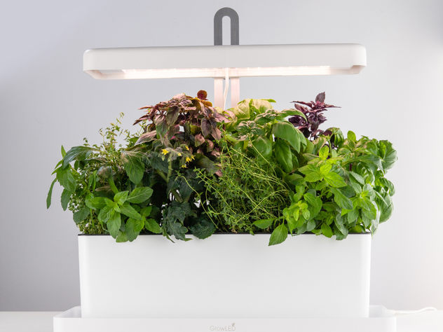 Huerto con luz LED de cultivo indoor Natura-7