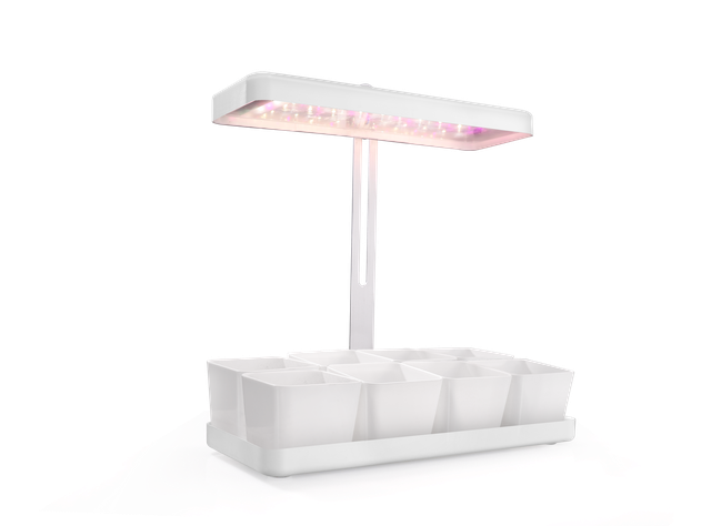Huerto con luz LED de cultivo indoor Natura-8