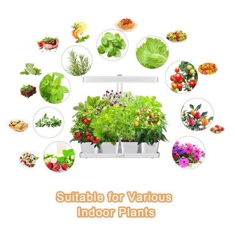 Huerto con luz LED de cultivo indoor Natura-9