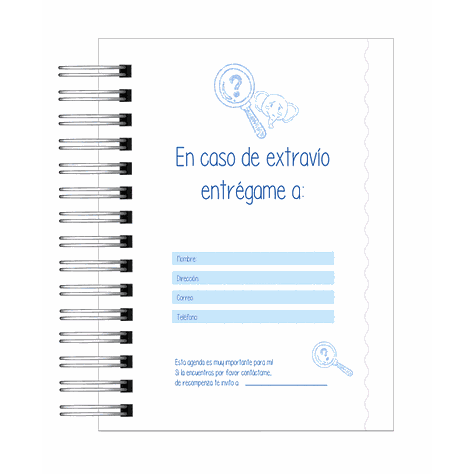 Agenda Tens-1