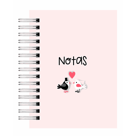 Diario de Novia-8