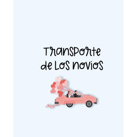 Diario de Novia-6