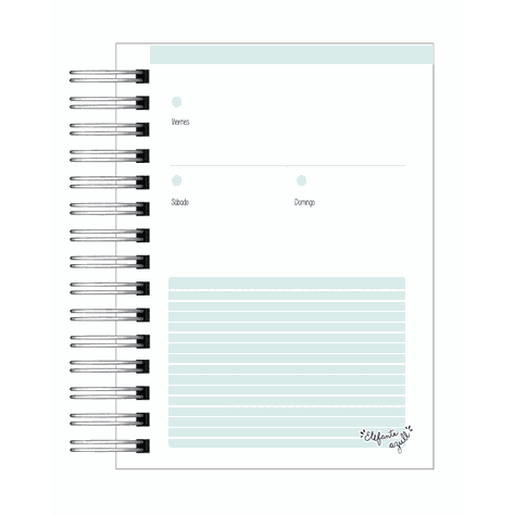 Agenda Trabajo Social-10