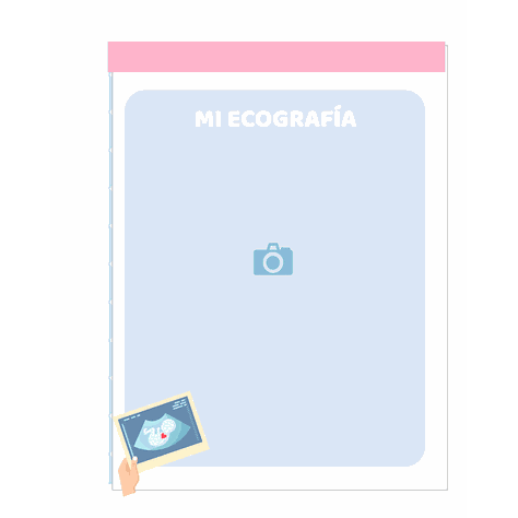 Diario de Embarazo-6