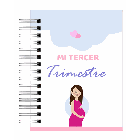 Diario de Embarazo-10
