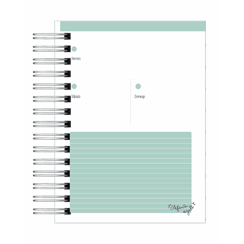 Agenda Profesor-16