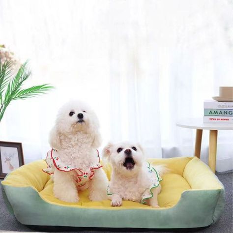 Cama Para Mascotas XL Con Juguete Máxima Comodidad Amarilla-1