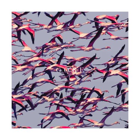 Vinilo Deftones/ Gore 2Lp-0