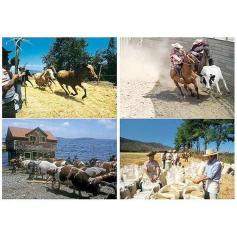 Láminas De Personas Y Tradiciones De Chile-0