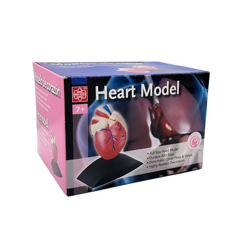 Corazón Desarmable Con Base-2