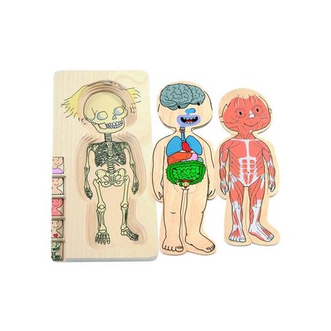 Puzzle De Capas Cuerpo Humano Niña-0
