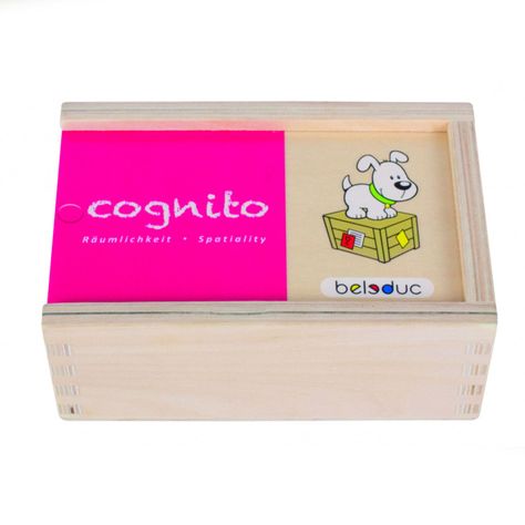 Puzzle Cognito Espacialidad-2
