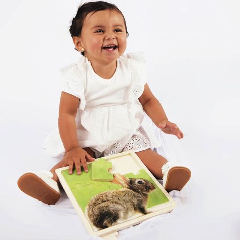 Set Puzzles De Animales 6 Piezas-1