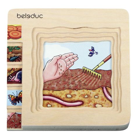 Puzzle Capas Desarrollo Zanahoria-1