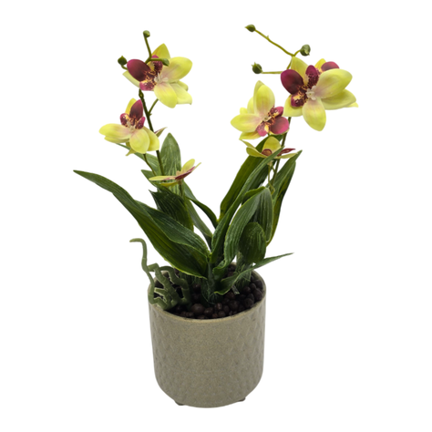 Planta Artificial Orquidea Amarillo Decorativa Macetero Loza-3