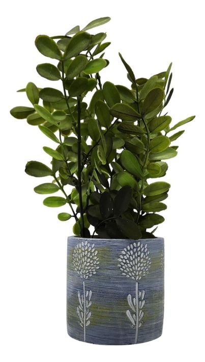 Planta Artificial Tropical Macetero Ceramica Azul Blanco-1
