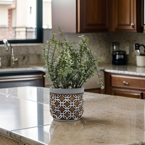 Planta Artificial Tropical Macetero Ceramica Café Con Blanco-5