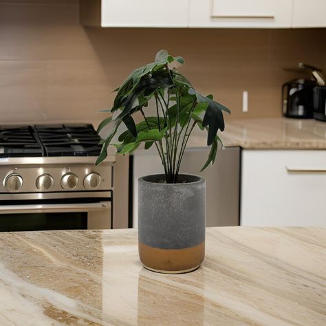 Planta Artificial Tropical Macetero Ceramica Gris Con Dorado-5