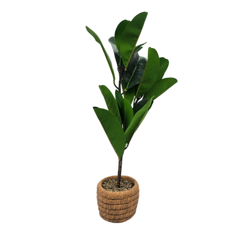 Planta Artificial Macetero De Cemento Naranjo Hojas Verdes-0