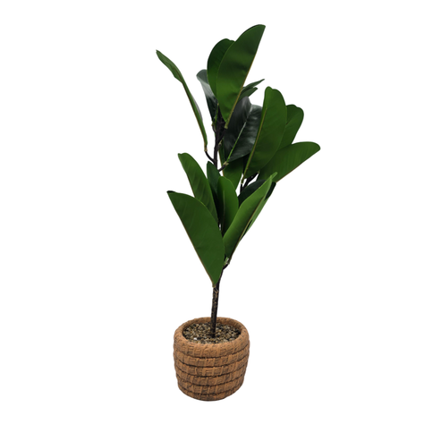 Planta Artificial Macetero De Cemento Naranjo Hojas Verdes-3