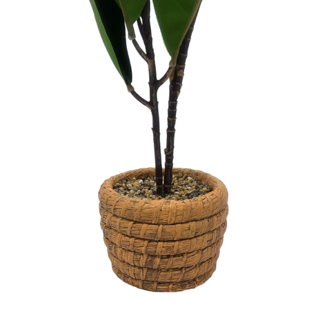 Planta Artificial Macetero De Cemento Naranjo Hojas Verdes-4