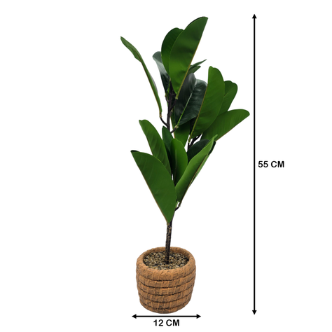 Planta Artificial Macetero De Cemento Naranjo Hojas Verdes-6
