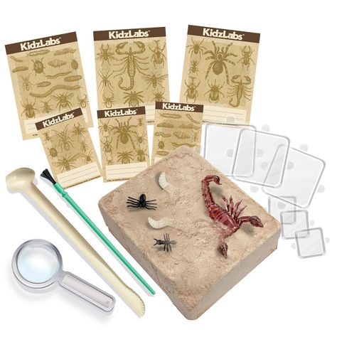 Excava Bichos-2