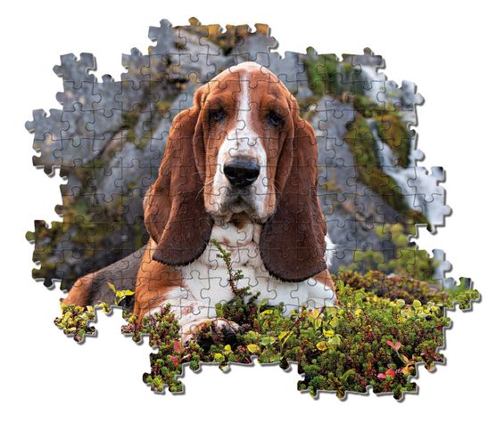 Puzzle 1000 piezas Charlie Brown-2