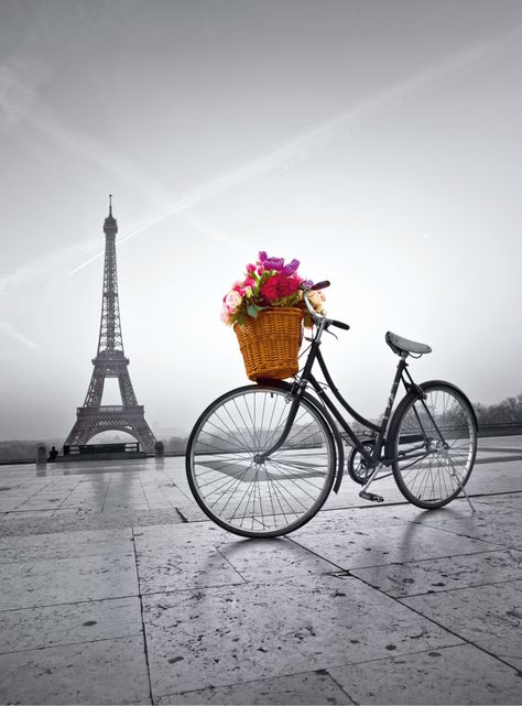 Puzzle 500 piezas Paseo Paris-1